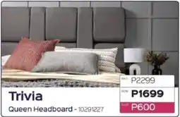 Sleepmasters Trivia Queen Headboard offer