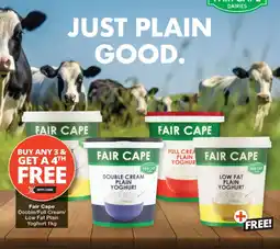 Checkers Fair Cape Double/Full Cream/Low Fat Plain Yoghurt offer