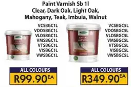 Laduma Hardware catalogue Paint Varnish Assorted offer
