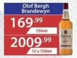 Big Save Liquor Olof Bergh Brandewyn offer