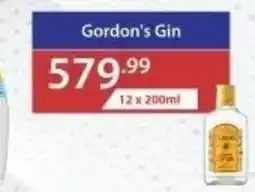 Big Save Liquor Gordon's Gin offer