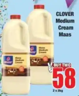 Boxer Clover Medium Cream Maas offer