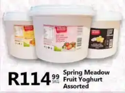 Take 'n Pay Spring Meadow Fruit Yoghurt Assorted offer