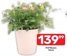 Pick n Pay Hypermarket PnP Roses offer