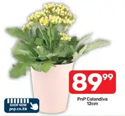 Pick n Pay Hypermarket PnP Calandiva offer