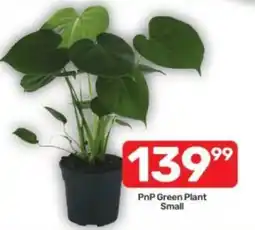 Pick n Pay PnP Green Plant Small offer