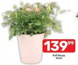 Pick n Pay PnP Roses offer