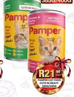 Take 'n Pay Pamper Cat Food Cuts in Gravy offer