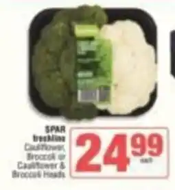 SuperSpar SPAR freshline Cauliflower, Broccoli or Cauliflower & Broccoli Heads offer
