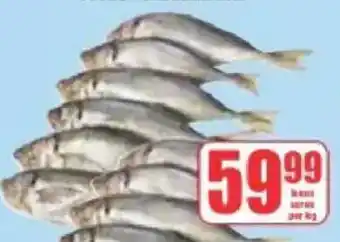Boxer Fish offer