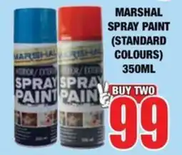 Boxer Build MARSHAL SPRAY PAINT (STANDARD COLOURS) offer