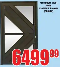 Boxer Build ALUMINIUM PIVOT DOOR offer