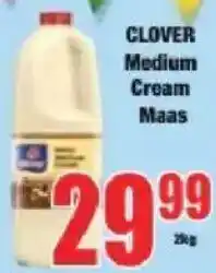 Boxer CLOVER Medium Cream Maas offer