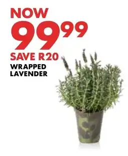 Woolworths Wrapped Lavender offer