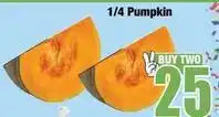 Boxer 1/4 pumpkin offer