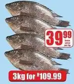 Boxer Tilapia offer