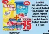Boxer Danone - ultra mel vanilla flavoured custard & nutri day full cream yoghurt offer