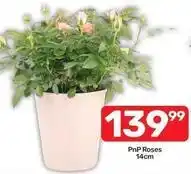 Pick n Pay Roses offer