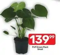 Pick n Pay Green plant offer