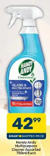 Pick n Pay Handy Andy Multipurpose Cleaner Assorted offer