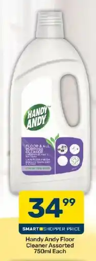 Pick n Pay Handy Andy Floor Cleaner Assorted offer