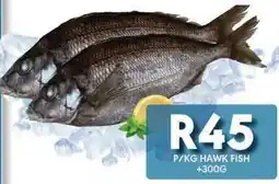 OBC Meat & Chicken Hawk Fish offer