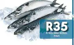 OBC Meat & Chicken MACKEREL FISH offer