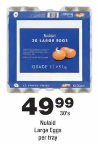Nulaid Large Eggs