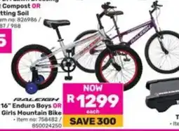 Game Raleigh 16" Enduro Boys OR Girls Mountain Bike offer
