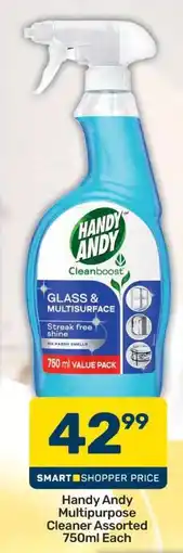 Pick n Pay Handy Andy Multipurpose Cleaner Assorted 750ml Each offer