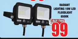 Boxer RADIANT LIGHTING 10W LED FLOODLIGHT 6500K offer