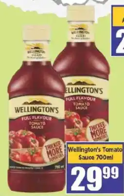 Big Save Wellington's Tomato Sauce offer