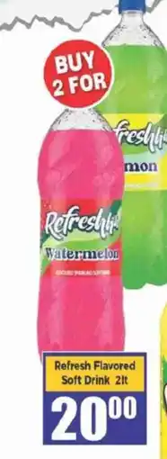 Big Save Refresh Flavored Soft Drink offer