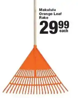 Build It Makululu Orange Leaf Rake offer