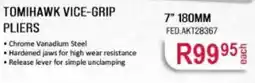 AutoZone TOMIHA WK VICE-GRIP PLIERS offer