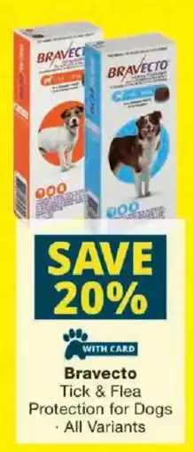 Checkers Bravecto Tick & Flea Protection for Dogs offer