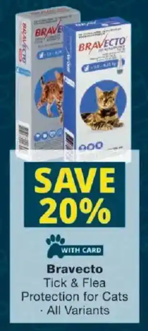Bravecto Tick & Flea Protection for Cats