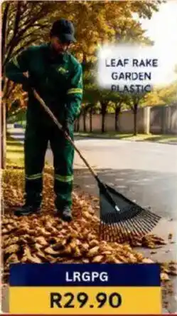 Laduma Hardware catalogue Leaf rake garden plastic offer
