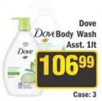 J&E Cash and Carry Dove Body Wash Assorted offer