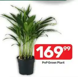 Pick n Pay PnP Green Plant offer