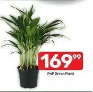 Pick n Pay Green plant offer