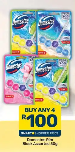 Pick n Pay Hypermarket Domestos Rim Block Assorted offer