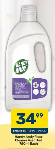 Pick n Pay Hypermarket Handy Andy Floor Cleaner Assorted offer