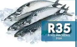 OBC Meat & Chicken MACKEREL FISH offer