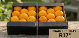 Take 'n Pay Naartjie tray offer