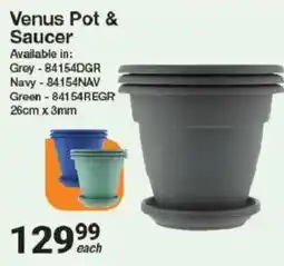 Mica Venus Pot & Saucer offer