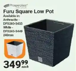 Mica Furu Square Low Pot Prosperplast offer