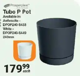 Mica Prosperplast Tubo P Pot offer