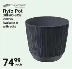 Mica Ryfo Pot offer