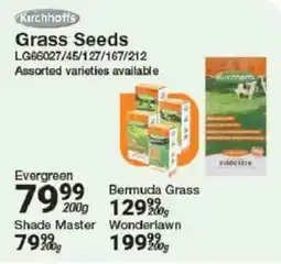Mica Evergreen Grass Seeds offer